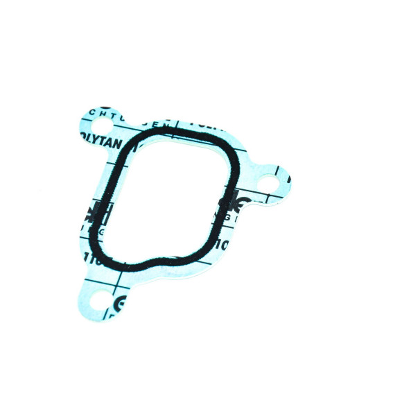 Uszczelka termostatu przewodu wody BMW E31 E38 E34 E39 E53 X5 730i 740i 530i 540i 535i 735i 840i V8 - 11531731833