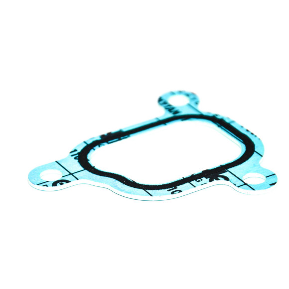 Uszczelka termostatu przewodu wody BMW E31 E38 E34 E39 E53 X5 730i 740i 530i 540i 535i 735i 840i V8 - 11531731833