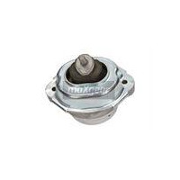 PODUSZKA SIL. BMW E53 L/P