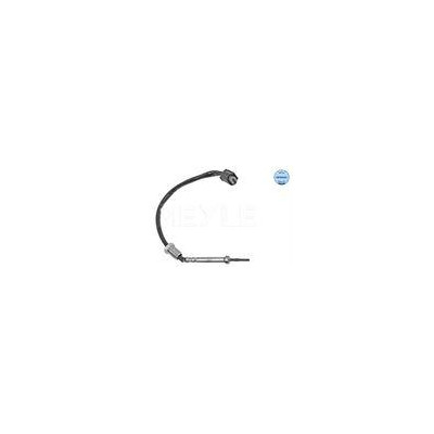 CZUJNIK TEMP. SPALIN BMW 3 E90 3,0 06-