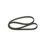 PASEK WIELOROWKOWY 6DPK1698