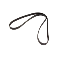 PASEK WIELOROWKOWY 6PK1605