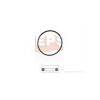 Uszczelka, termostat