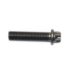 Śruba torx wałka przekazania napędu BMW E31 E38 E39 E60 E61 E63 E64 E82 E90 E92 E93 - 33211227944