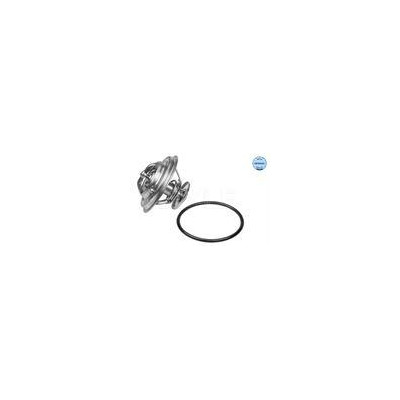 TERMOSTAT BMW 71C E30/36