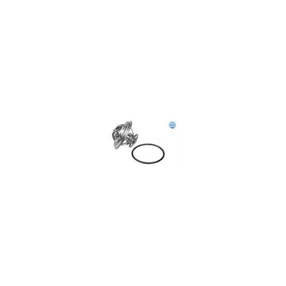 TERMOSTAT BMW 71C E30/36