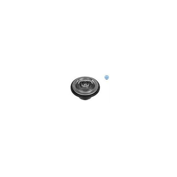 TERMOSTAT BMW 80C M20/50
