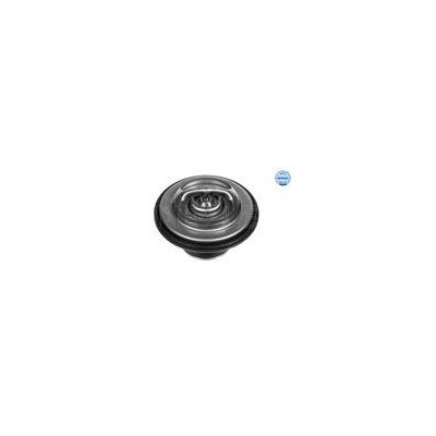 TERMOSTAT BMW 80C M20/50