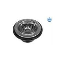TERMOSTAT BMW 80C M20/50