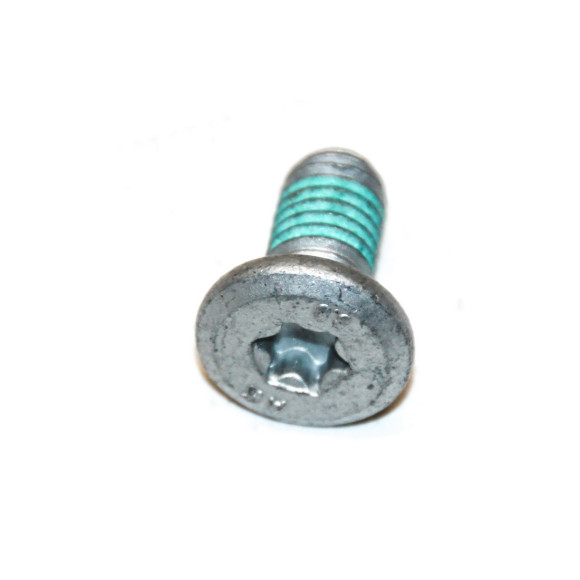 Śruba torx hamulca tył BMW K08 K09 K17 K18 K19 K21 K22 K23 K25 K255 K26 K27 K28 K29 K32 K40 K50 K61 K70 K80 - 33177709205