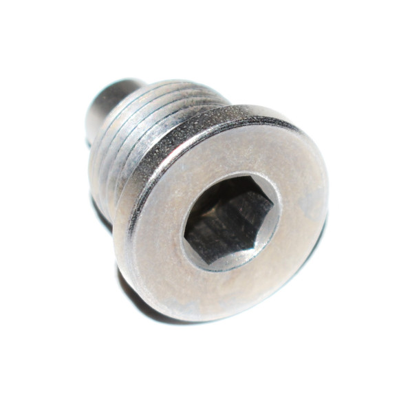 Śruba zamykająca z magnesem BMW I01 i3 K02 K40 K43 K44 K61 - 11137720999