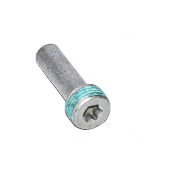 Śruba rozrządu sworzeń łożyskowy BMW E60 E70 E81 E83 E84 E90 E91 F01 F06 F10 F11 F12 F15 F20 F21 F30 F31 F39 F45 F48 MINI G01 G0