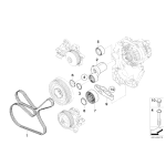 Pasek mikro BMW E81 E82 E87 E88 116d 118d 120d, rozmiar 6pk1795 - 11287800485