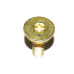 Śruba Torx z podkładką BMW E39 Touring 520 523 525 528 530 540 - 41628199932