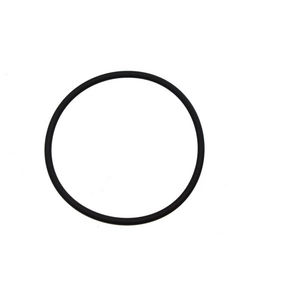 O-ring ukł. paliwowego BMW K30 R21 R22 R28 - 16141341008