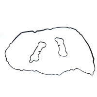 11127614701 Uszczelka pokrywy zaworów BMW F01N F06 F07 F10 F11 F12 F13 F15 F16 650i M6 550I M5 750i - 11127614701 - Części oryginalne BMW Łódź | Sklep internetowy BMW