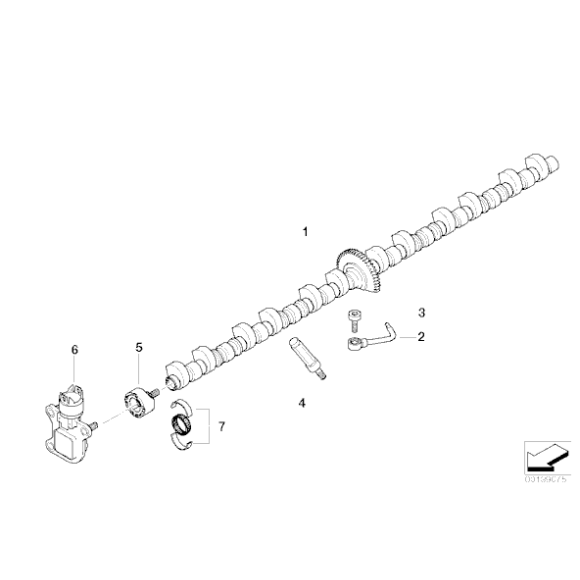 Łożysko igiełkowe wałka BMW E46 E53 E60 E61 E63 E65 E70 E81 E83 E84 E87 E90 E91 F01 F06 F07 F10 F11 F12 F15 F20 F30 F36 - 113776