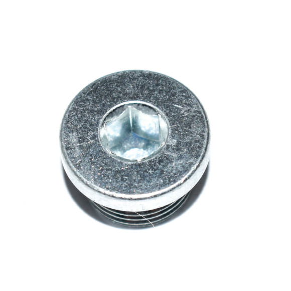 Śruba zamykająca BMW E60 E61 E81 E87 E90 F10 F20 F25 F30 F36 F39 F45 MINI G30  - 23127602815