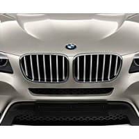 Atrapa chłodnicy w kolorze tytanu X3 - 51117237421