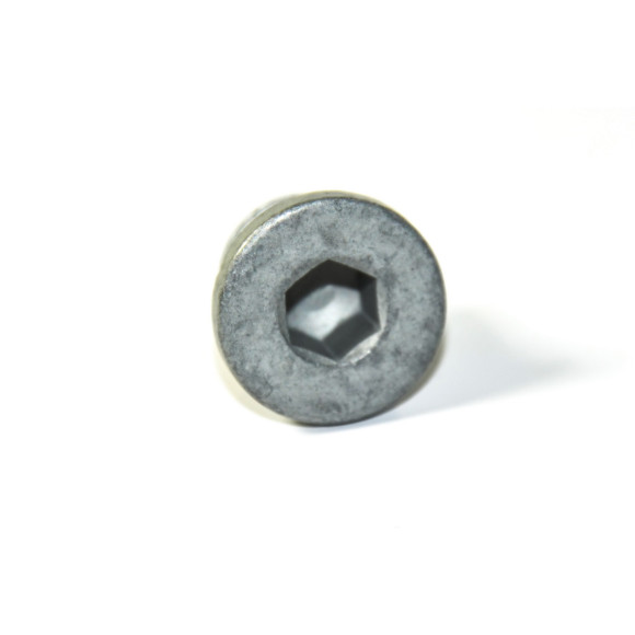 Śruba zamykająca głowicy BMW E21 E23 E24 E30 E31 E32 E34 E39 E53 E60 E90 E92 F06 F12 F13 MOTO - 07119902292