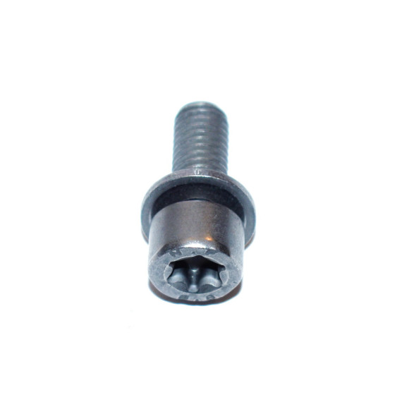 Śruba torx z podkładką BMW E30 E34 E36 E38 E39 E46 E60 E70 E81 E90 F01 F10 F20 F30 F48 - 07129905423