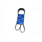 Pasek micro BMW E36 E39 E38 320 323 325 328 520 525 528 530 728 - 11281437929