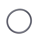 O-Ring BMW E31 E32 E34 E36 E38 E39 E46 E53 X5 E60 E61 E63 E64 E65 E66 E83 X3 Z3 Z4 - 13711731893