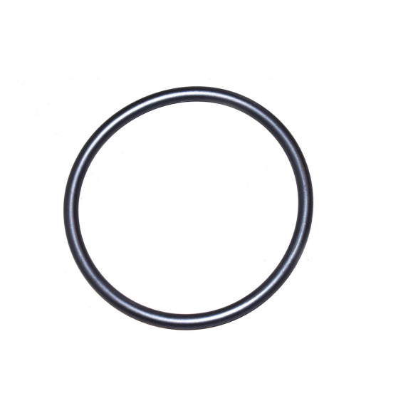 O-Ring BMW E31 E32 E34 E36 E38 E39 E46 E53 X5 E60 E61 E63 E64 E65 E66 E83 X3 Z3 Z4 - 13711731893