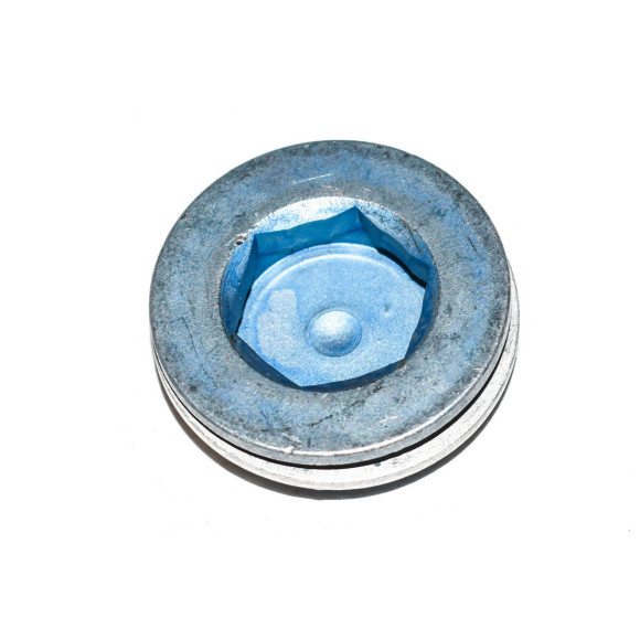 Śruba z pierścieniem BMW E38 E39 E46 E53 X5 E70 E83 X3 E60 E63 E81 E90 - 11142248640