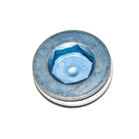 Śruba z pierścieniem BMW E38 E39 E46 E53 X5 E70 E83 X3 E60 E63 E81 E90 - 11142248640