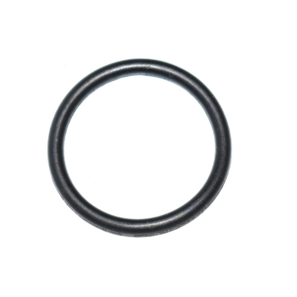 USZCZELNIACZ ODMY BMW E30, E34