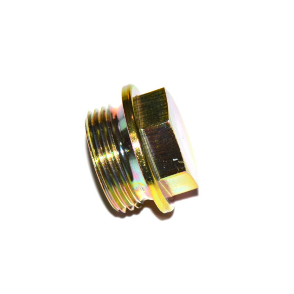 11311721579 Śruba zamykająca napinacza łańcucha BMW E30 E36 Z3 318is 318ti M42 M44 - 11311721579 - Części oryginalne BMW Łódź | Sklep internetowy BMW