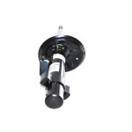 317570 Amortyzator przód BMW E83 X3 2,0i 1,8d 2,0d 2,5si 3,0i 3,0d - 31313453521 - Części oryginalne BMW Łódź | Sklep internetowy BMW