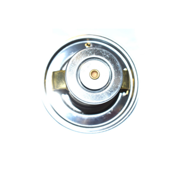 11531729720 Termostat BMW E31 E34 E32 E38 840i 850i 730i 740i 750i 530i 540i M60 V8 V12 - 11531729720 - Części oryginalne BMW Łódź | Sklep internetowy BMW