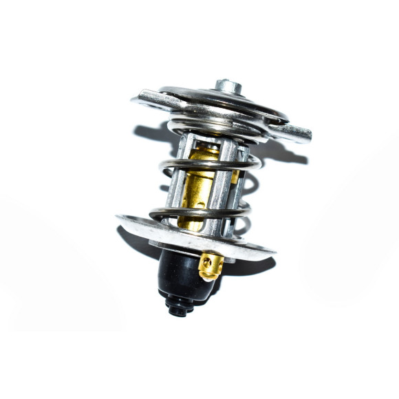 Termostat BMW E31 840Ci - 11531742964