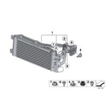 Śruba odpowietrzająca BMW E30 E36 E39 E38 E46 X5 E81 E90 E87 E91 Mini - 17111712788