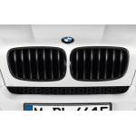 Przednia atrapa BMW Performance X5 X6 - 51712150246
