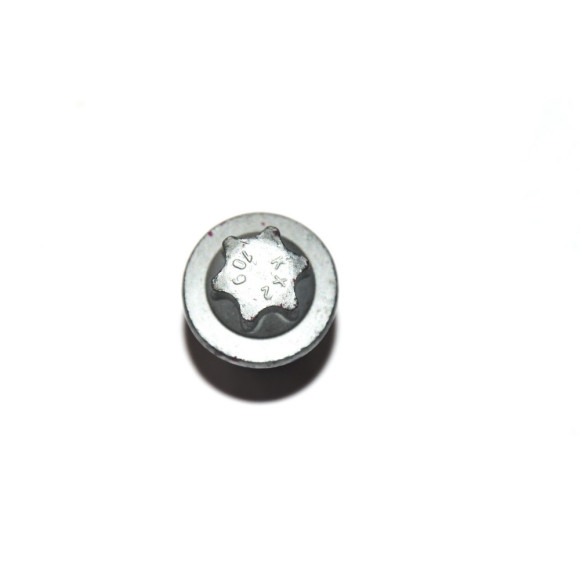 Śruba wahacza BMW X3 X4 E83 F25 F26 20dX 20iX 18d 18i 28iX 30dX 35iX 35dX - 31103413500