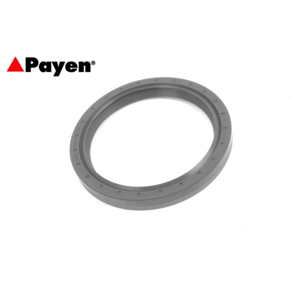 Zimering wału korbowego BMW E31 E32 E34 E38 E39 535i 540i 530i 730i 735i 740i 840i 840Ci E53 X5 E65 740d 745d 4,4i 4,6is - 11141