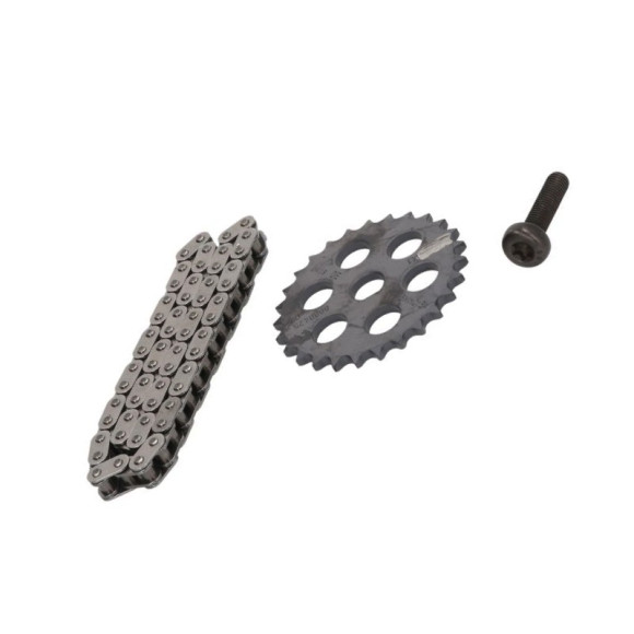 Zestaw łańcucha rozrządu BMW F20 F21 F22 F23 F30 F31 F32 F33 F36 F39 F45 MINI F54 F55 F57 F60 G01 G11 G30 i8 - 11417636187