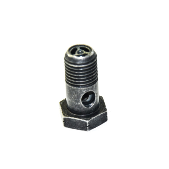 32416781261 Śruba drążona ukł. kierowniczego BMW E39 E46 E60 E61 E63 E64 E81 E84 E87 E90 E91 E92 MINi R50 R52 R53 - 32416781261 - Części oryginalne BMW Łódź | Sklep internetowy BMW