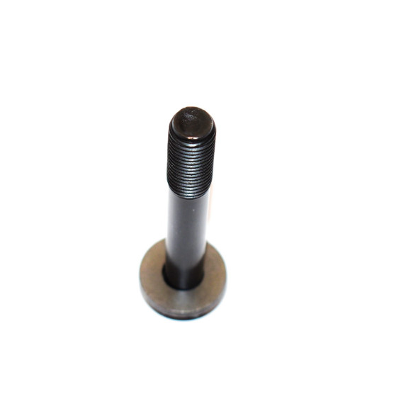 Śruba z podkładką BMW E36 E46 E83 E85 E86 X3 Z4 - 33171090824