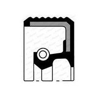 Pierścień uszczelniający wału, wał korbowy