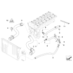 Wąż chłodnicy dolny odpływu BMW E46 320i 323i 325i 328i 330i - 11531436410