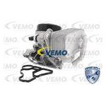 Chłodnica oleju, olej silnikowy