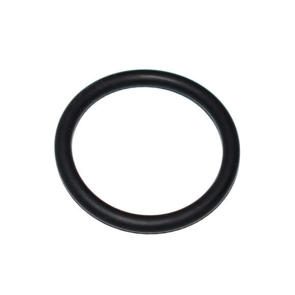 Uszczelka przewodu chłodzenia BMW E53 E60 E61 E65 E66 E70 F01 F02 G12 E31 E32 E34 - 11531710048