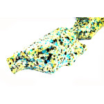 51477367278 Uszczelka poszycia prawa izolacja dźwiękowa BMW F34 F34N 318d 320d 328i 325d 335d 335i 340iX - 51477367278 - Części oryginalne BMW Łódź | Sklep internetowy BMW