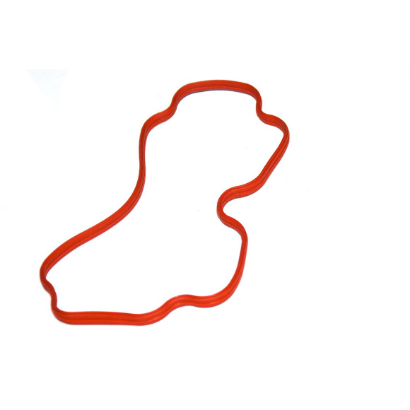 11611729728 Uszczelka obudowy kolektora E39 E38 X5 V8 - Oryginał BMW - 11611729728 - Części oryginalne BMW Łódź | Sklep internetowy BMW