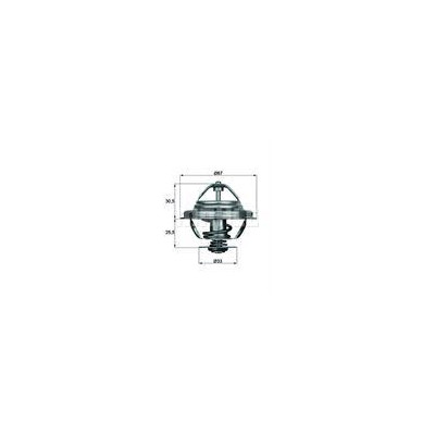 TERMOSTAT BMW 80C E30/36