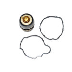 Termostat BMW F10N F11N F15 X5 F20 F21 F25 X3 F30 F31 F36 F39 X2 F45 F48 X1 MINI F54 F56 F57 F60 G01 G02 G30 - 11518588945